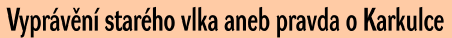 Vyprvn starho vlka aneb pravda o Karkulce